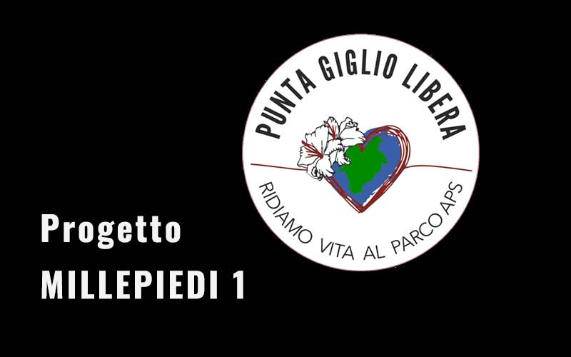 Millepiedi